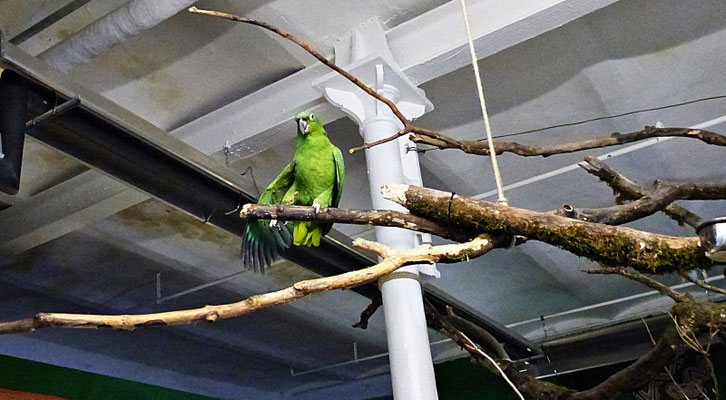 Der Reptilienzoo in Füssen