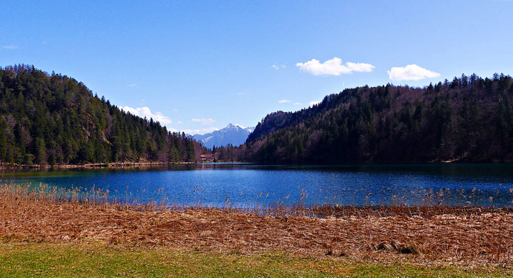 Der Alatsee