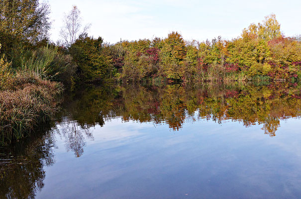 Der Rothsee
