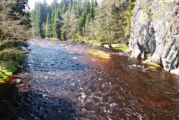 Im Sumava