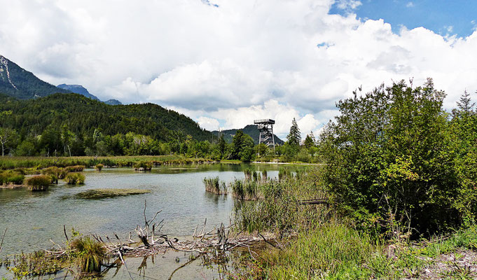 Der Vogelturm