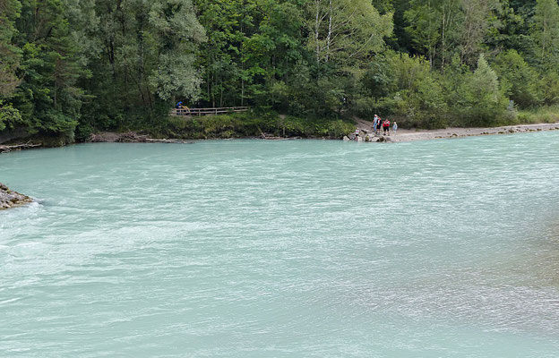 Der Baumwipfelpfad