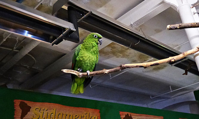 Der Reptilienzoo in Füssen