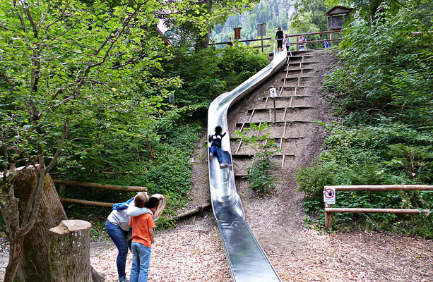 Der Baumwipfelpfad