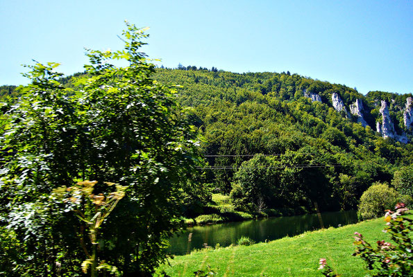 Die junge Donau