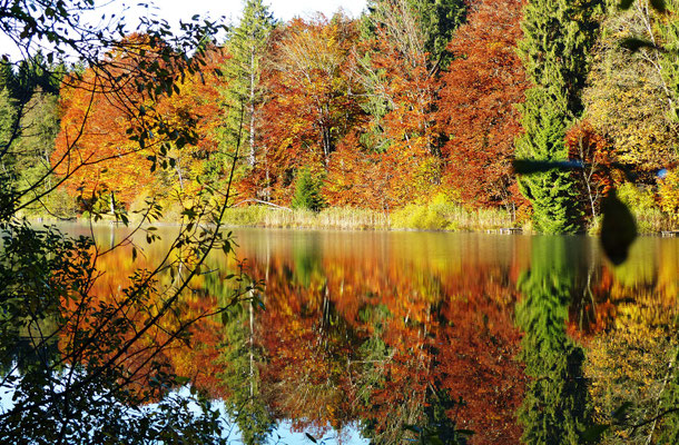 Impressionen aus dem schönen Allgäu