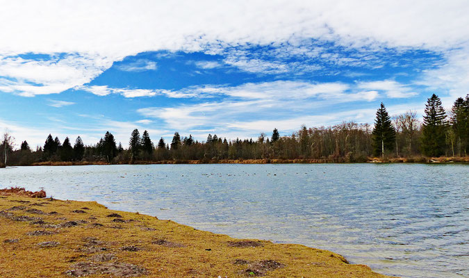 Der Lech bei Scheuring