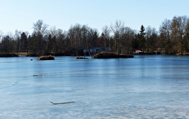 Der See im Winter