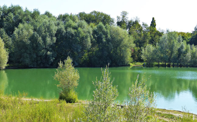 Badesee in Graben