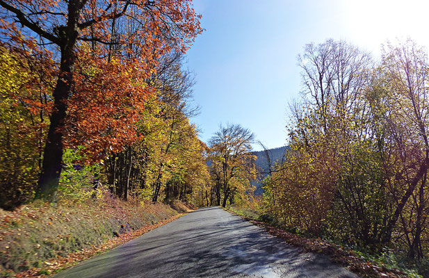 Farbenfrohes Böhmen