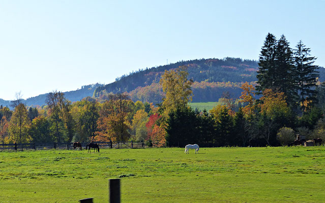 Farbenfrohes Böhmen