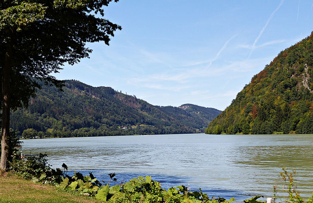 An der schönen Donau