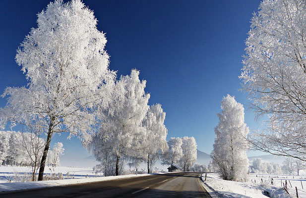 Winterlandschaft in Bayern