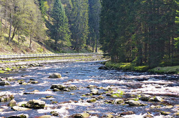 Im Sumava