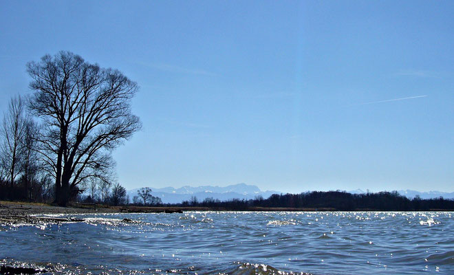 Ammersee