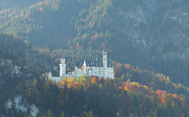 Impressionen aus dem schönen Allgäu