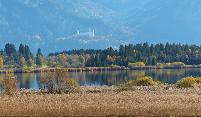 Impressionen aus dem schönen Allgäu