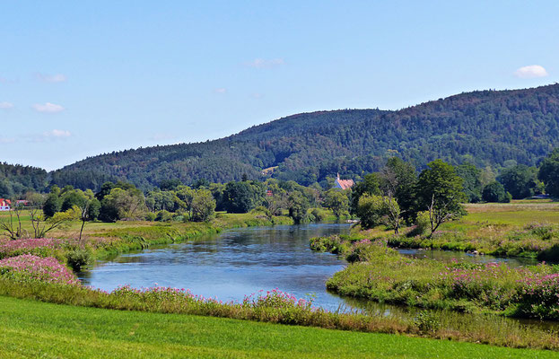 Der Fluss Regen im Sommer