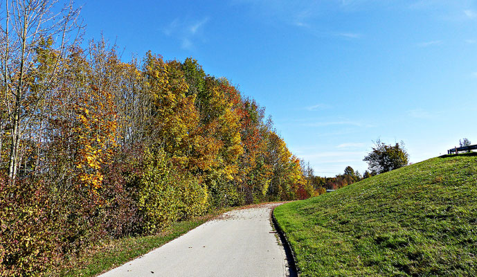 Beim Lech im Herbst