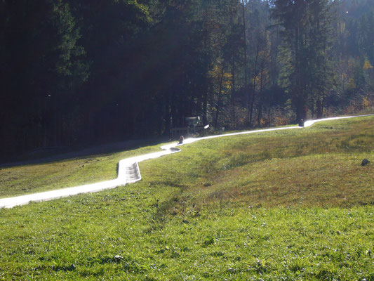 Bei der Blomberg Sommerrodelbahn