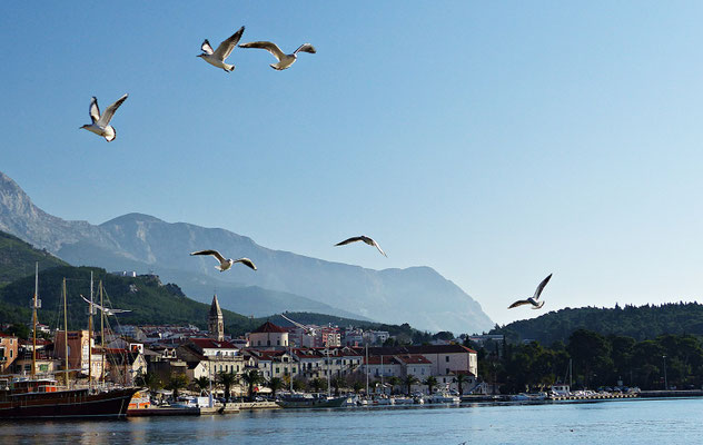 Mövenspiel in Makarska
