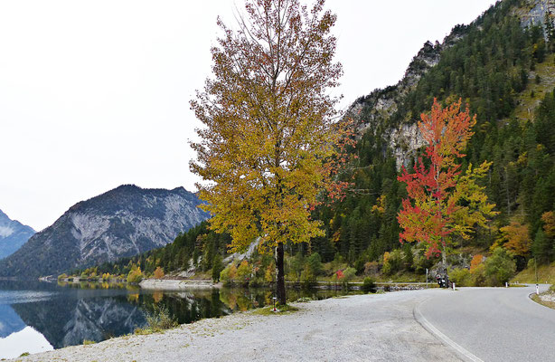 Der Plansee
