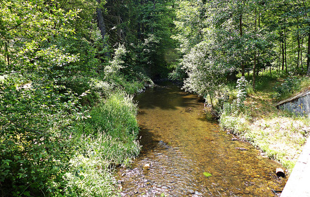 Natur in Böhmen