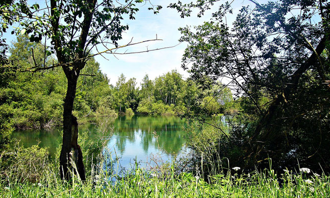 Der Fohlenhofsee