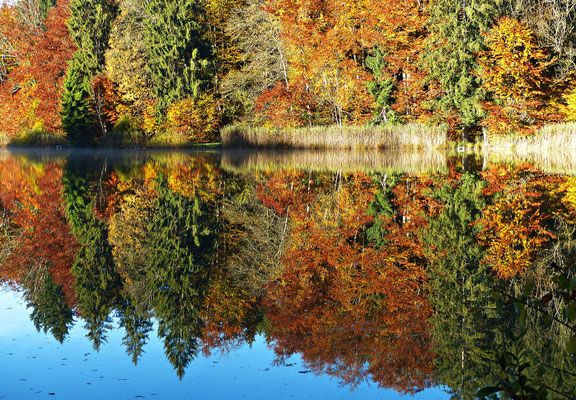 Spiegelung in Bayern