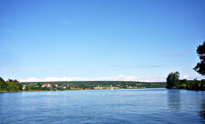 Beim schönen Rhein