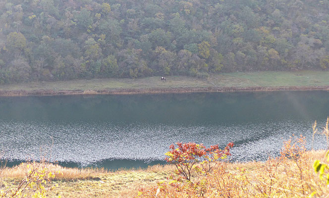 An der Zrmanja im November 2018