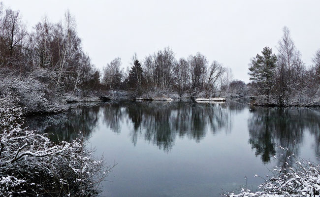 Der Fohlenhofsee