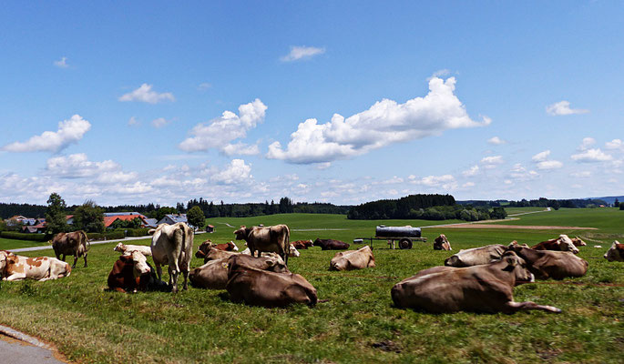 Das schöne Allgäu