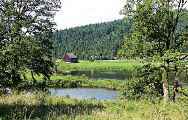Der Fluss Regen im Sommer