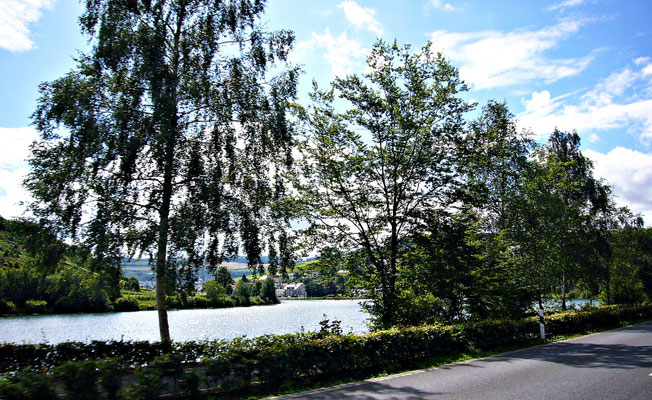 Die Mosel