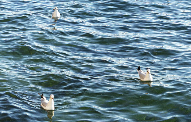 Spaziergang am Meer entlang
