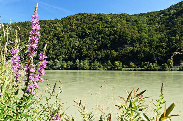 An der schönen Donau