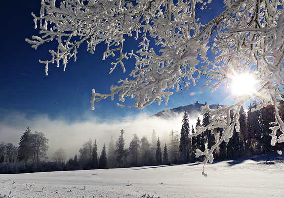Winter im Bayerischen Wald