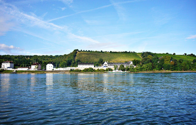 Beim schönen Rhein