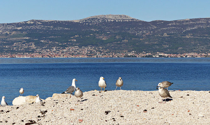 Auf der Insel Ciovo