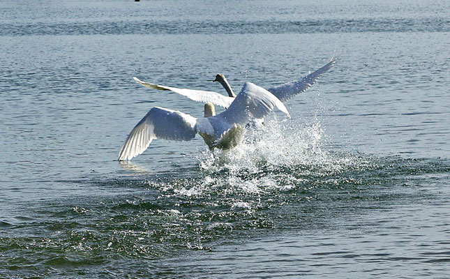 Herrliche Natur beim Lech