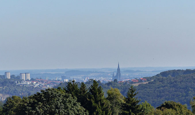 Blick zum Ulmer Münster