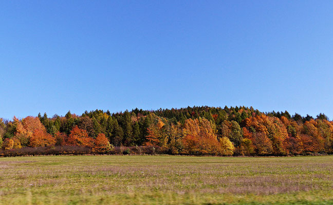 Farbenfrohes Böhmen
