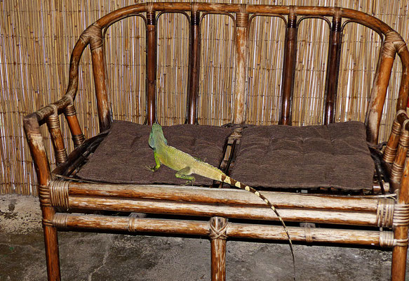 Der Reptilienzoo in Füssen
