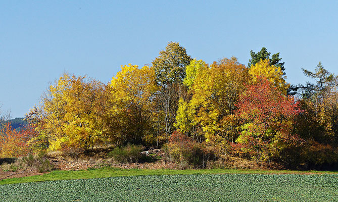 Farbenfrohes Böhmen