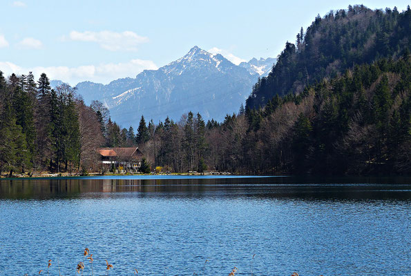 Der Alatsee