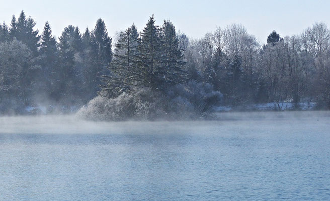 Der Auensee