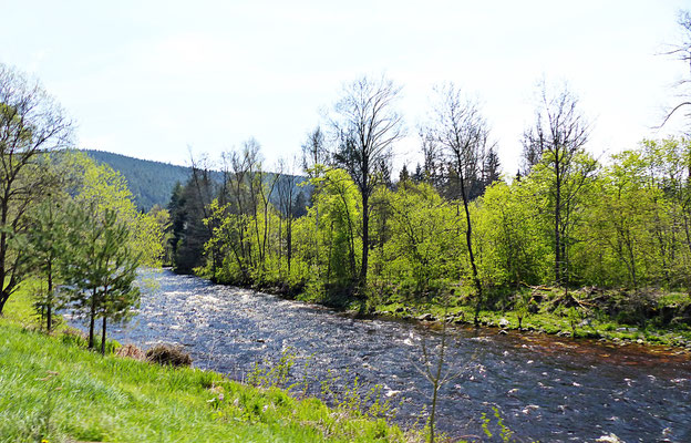 Im Sumava