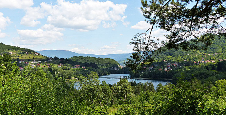 Die Pliva