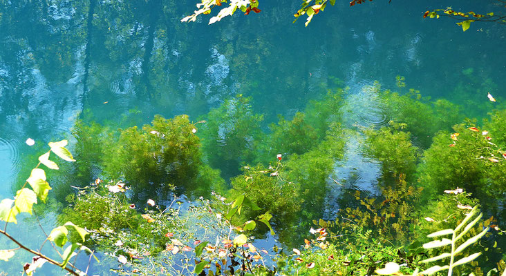 Beim Blautopf